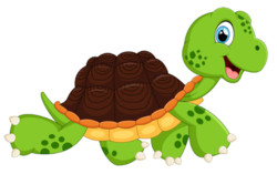 Die kleine Schildkroete